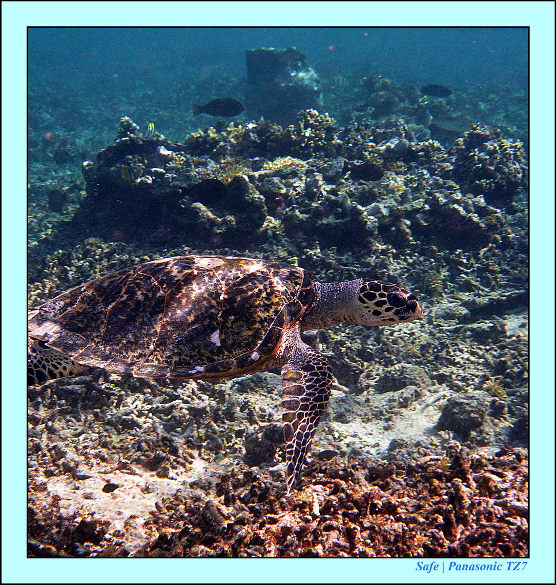 2012 - 07 - Gili - 79